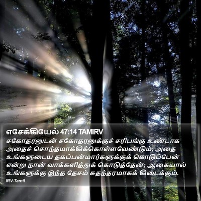 எசேக்கியேல் 47:14 TAMIRV Bible Verse Image