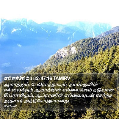 எசேக்கியேல் 47:16 TAMIRV Bible Verse Image