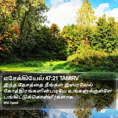 எசேக்கியேல் 47:21 TAMIRV Bible Verse Image