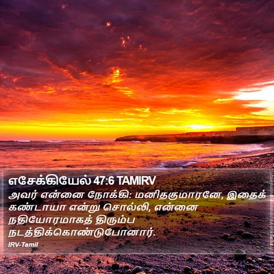 எசேக்கியேல் 47:6 TAMIRV Bible Verse Image