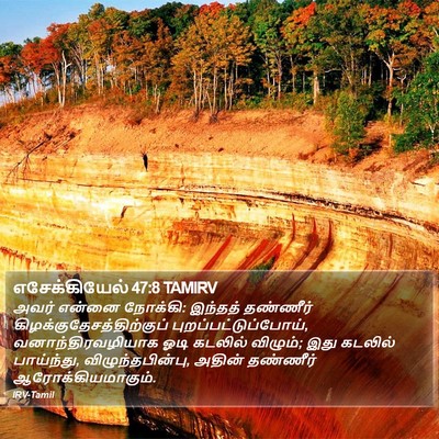 எசேக்கியேல் 47:8 TAMIRV Bible Verse Image