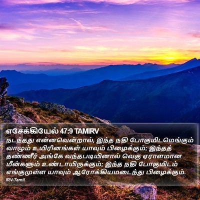 எசேக்கியேல் 47:9 TAMIRV Bible Verse Image