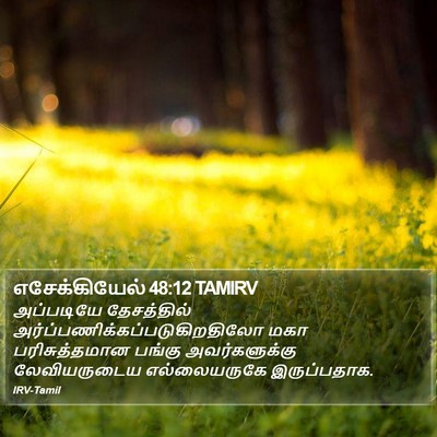 எசேக்கியேல் 48:12 TAMIRV Bible Verse Image