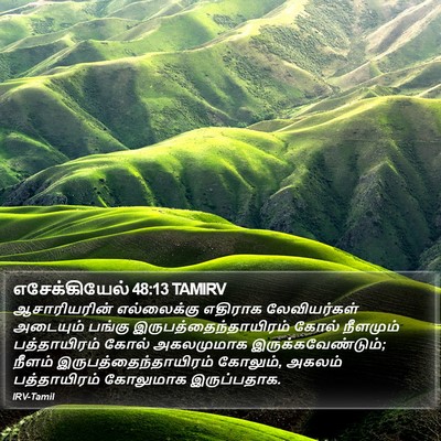 எசேக்கியேல் 48:13 TAMIRV Bible Verse Image