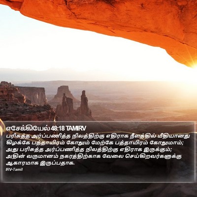 எசேக்கியேல் 48:18 TAMIRV Bible Verse Image