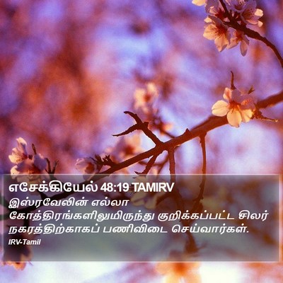 எசேக்கியேல் 48:19 TAMIRV Bible Verse Image