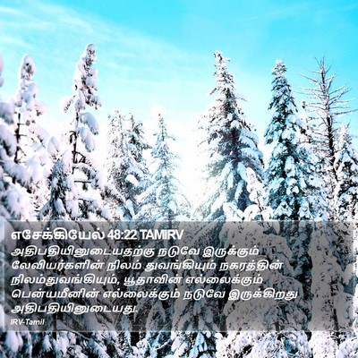 எசேக்கியேல் 48:22 TAMIRV Bible Verse Image