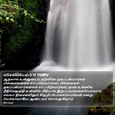 எசேக்கியேல் 5:10 TAMIRV Bible Verse Image