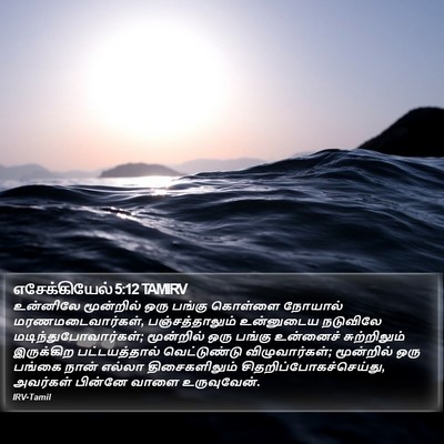எசேக்கியேல் 5:12 TAMIRV Bible Verse Image