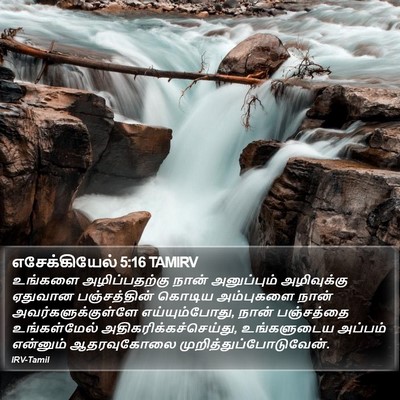 எசேக்கியேல் 5:16 TAMIRV Bible Verse Image