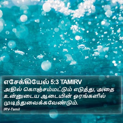 எசேக்கியேல் 5:3 TAMIRV Bible Verse Image