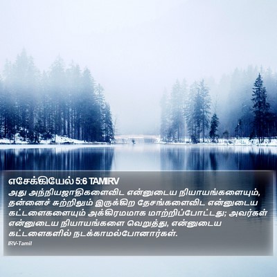 எசேக்கியேல் 5:6 TAMIRV Bible Verse Image