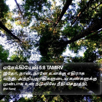 எசேக்கியேல் 5:8 TAMIRV Bible Verse Image