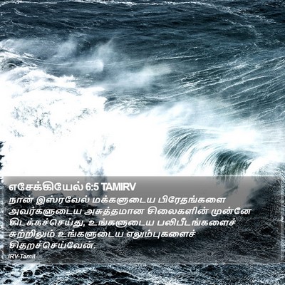 எசேக்கியேல் 6:5 TAMIRV Bible Verse Image
