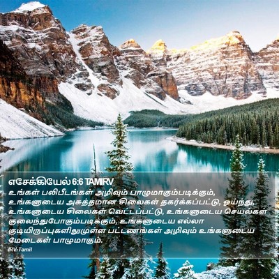 எசேக்கியேல் 6:6 TAMIRV Bible Verse Image