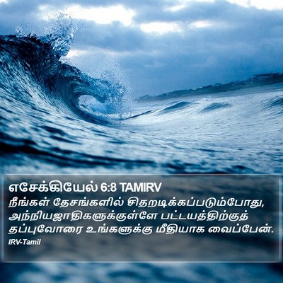 எசேக்கியேல் 6:8 TAMIRV Bible Verse Image