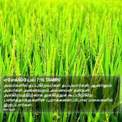 எசேக்கியேல் 7:16 TAMIRV Bible Verse Image