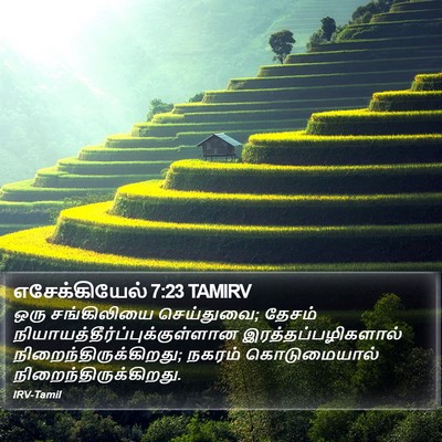 எசேக்கியேல் 7:23 TAMIRV Bible Verse Image