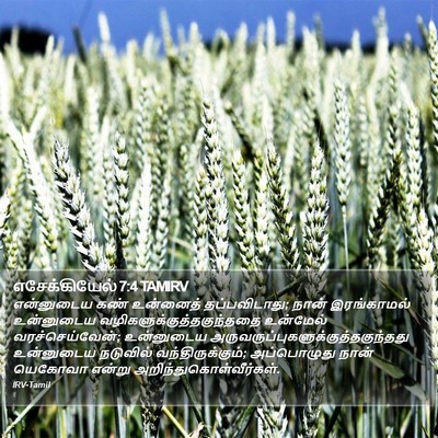 எசேக்கியேல் 7:4 TAMIRV Bible Verse Image
