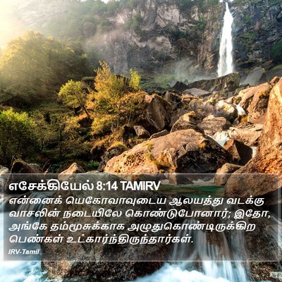 எசேக்கியேல் 8:14 TAMIRV Bible Verse Image