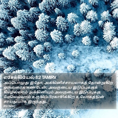 எசேக்கியேல் 8:2 TAMIRV Bible Verse Image