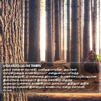எசேக்கியேல் 8:6 TAMIRV Bible Verse Image