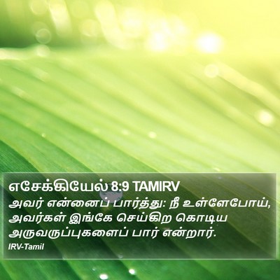 எசேக்கியேல் 8:9 TAMIRV Bible Verse Image