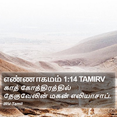எண்ணாகமம் 1:14 TAMIRV Bible Verse Image