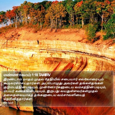 எண்ணாகமம் 1:18 TAMIRV Bible Verse Image