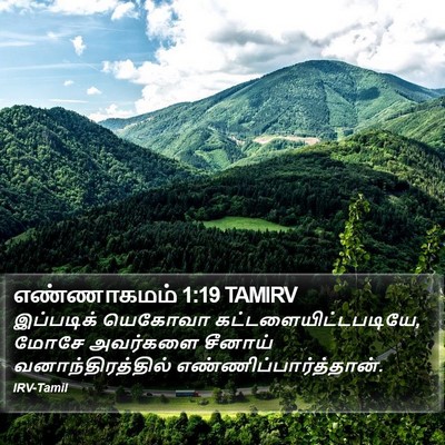 எண்ணாகமம் 1:19 TAMIRV Bible Verse Image