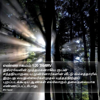 எண்ணாகமம் 1:20 TAMIRV Bible Verse Image