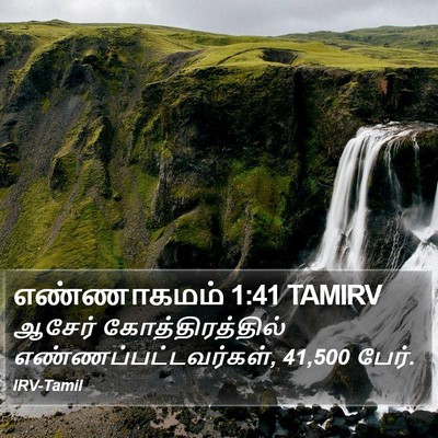 எண்ணாகமம் 1:41 TAMIRV Bible Verse Image