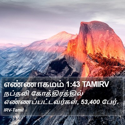 எண்ணாகமம் 1:43 TAMIRV Bible Verse Image