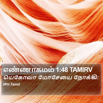 எண்ணாகமம் 1:48 TAMIRV Bible Verse Image