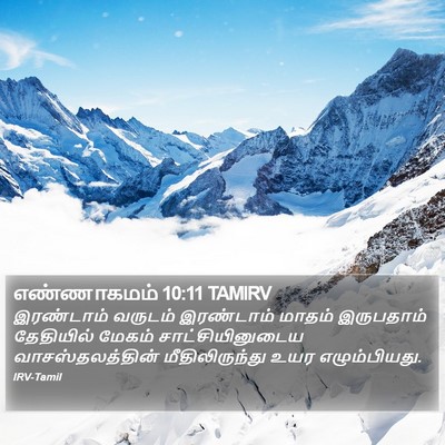 எண்ணாகமம் 10:11 TAMIRV Bible Verse Image