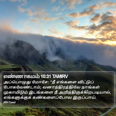 எண்ணாகமம் 10:31 TAMIRV Bible Verse Image