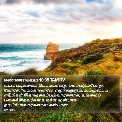 எண்ணாகமம் 10:35 TAMIRV Bible Verse Image