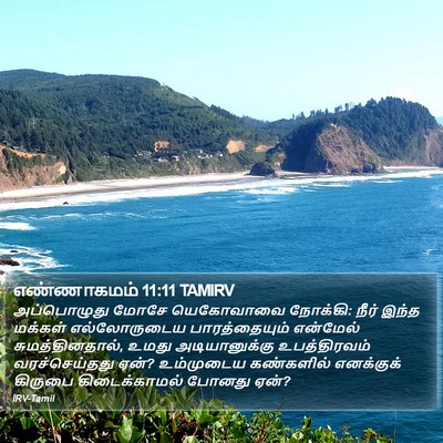 எண்ணாகமம் 11:11 TAMIRV Bible Verse Image