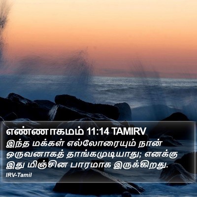எண்ணாகமம் 11:14 TAMIRV Bible Verse Image