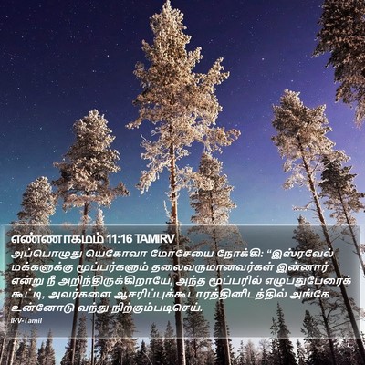 எண்ணாகமம் 11:16 TAMIRV Bible Verse Image