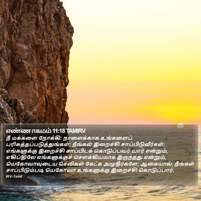 எண்ணாகமம் 11:18 TAMIRV Bible Verse Image