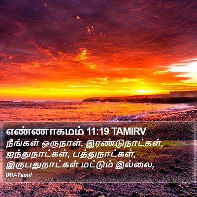 எண்ணாகமம் 11:19 TAMIRV Bible Verse Image