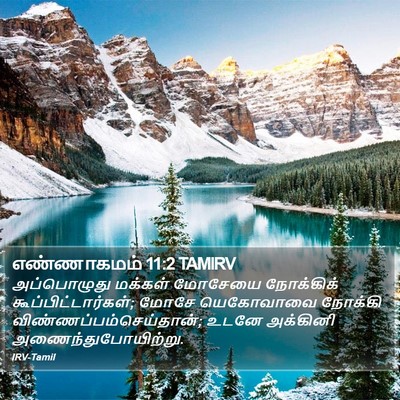 எண்ணாகமம் 11:2 TAMIRV Bible Verse Image