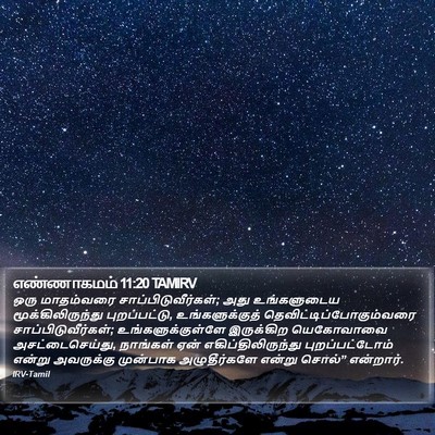 எண்ணாகமம் 11:20 TAMIRV Bible Verse Image