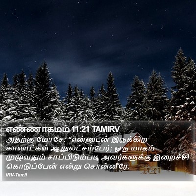 எண்ணாகமம் 11:21 TAMIRV Bible Verse Image