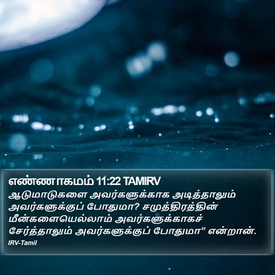 எண்ணாகமம் 11:22 TAMIRV Bible Verse Image