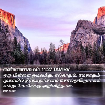 எண்ணாகமம் 11:27 TAMIRV Bible Verse Image