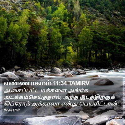 எண்ணாகமம் 11:34 TAMIRV Bible Verse Image