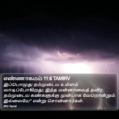 எண்ணாகமம் 11:6 TAMIRV Bible Verse Image