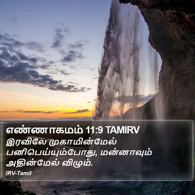 எண்ணாகமம் 11:9 TAMIRV Bible Verse Image